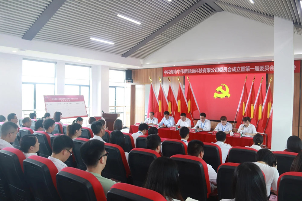 新起点开启新征程丨中共湖南pg国际新能源党委正式成立