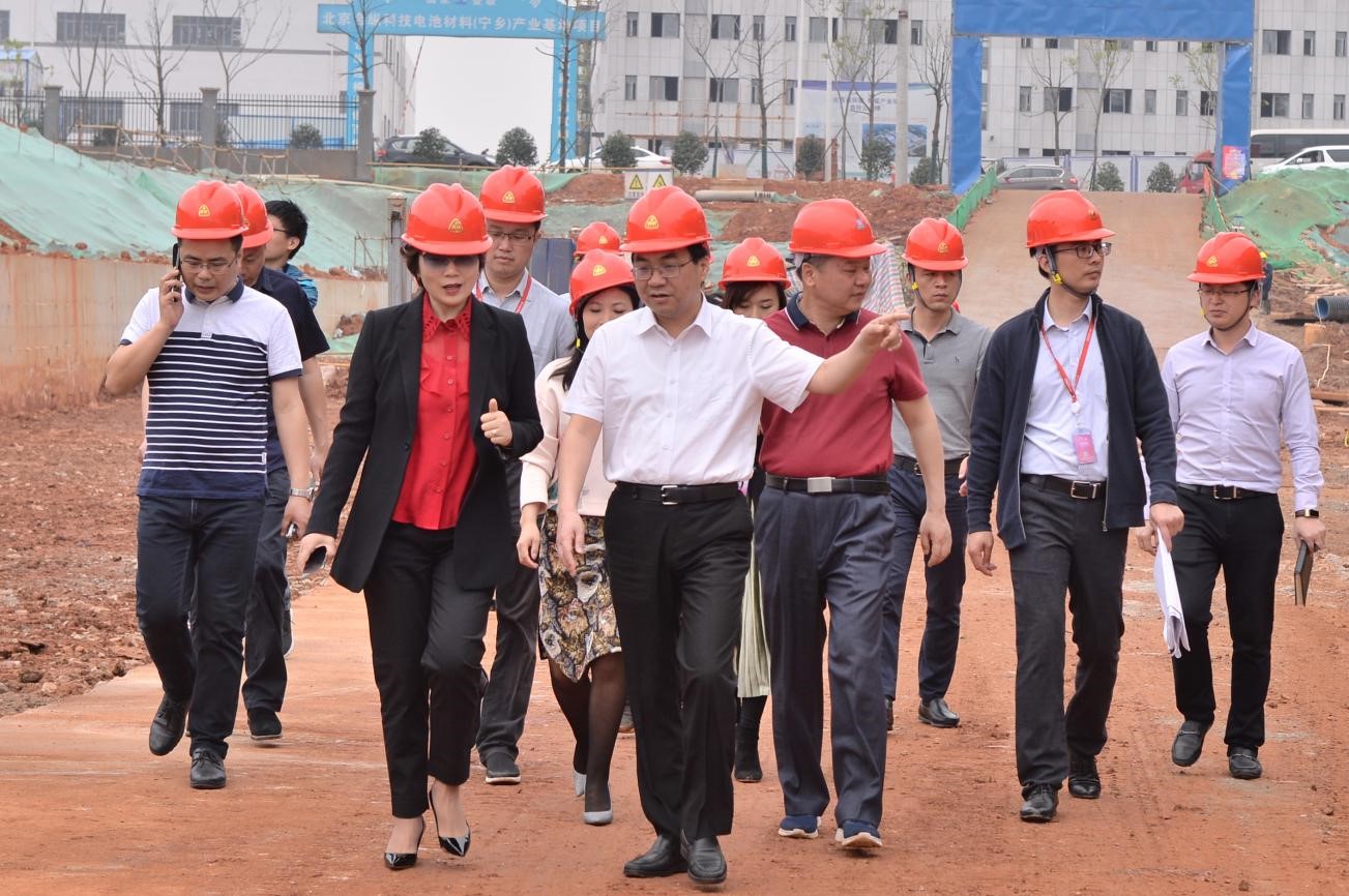 宁乡市委书记周辉赴pg国际新资料宁乡基地项目调研