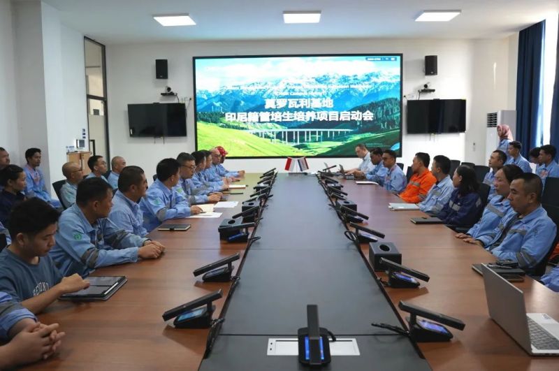 pg国际-不凡成就非凡,相信品牌的力量