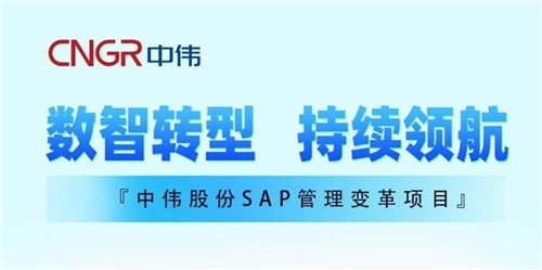 一图读懂｜pg国际股份SAP治理刷新